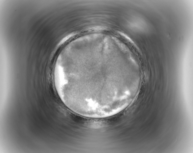 X0000084561266200703161658