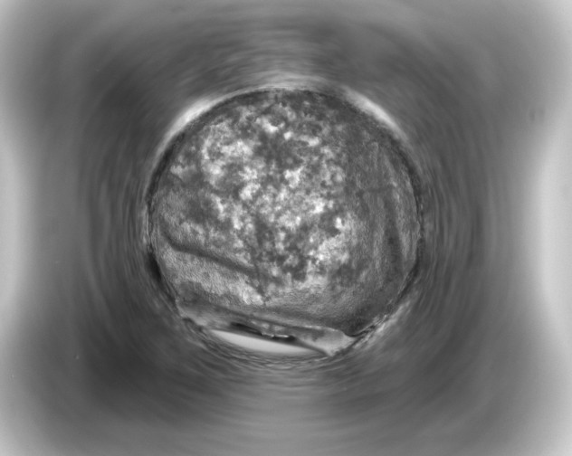 X0000084561267200703161658