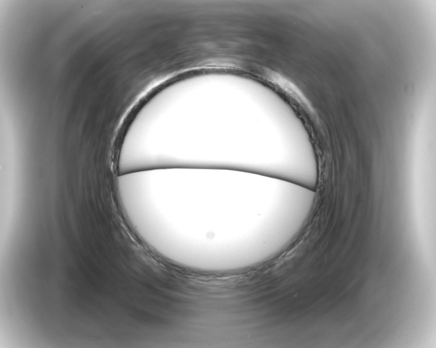 X0000084561268200703161658