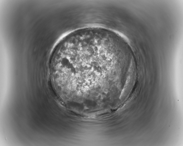 X0000084561271200703161658