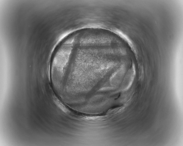 X0000084561272200703161658