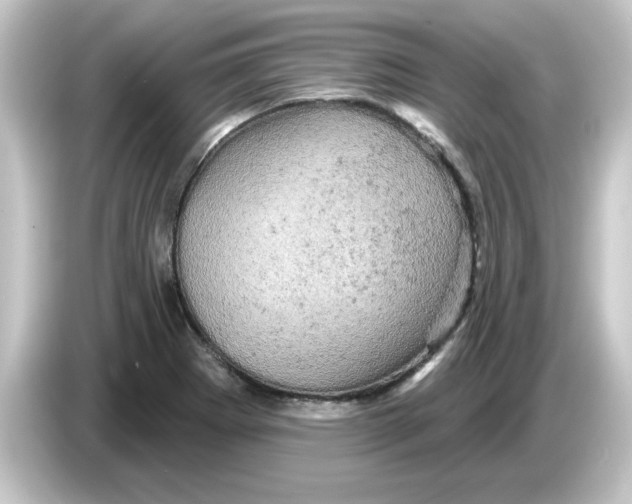 X0000084561273200703161658