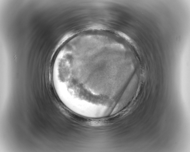 X0000084561274200703161658