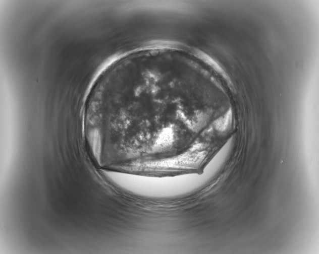 X0000084561275200703161658