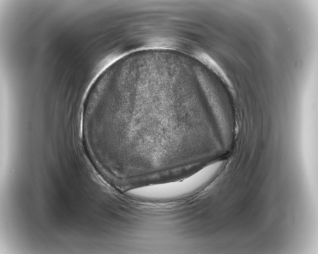 X0000084561276200703161658