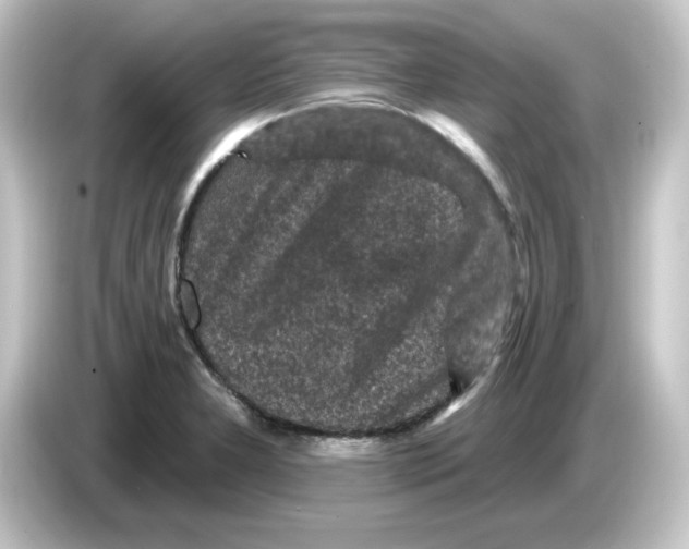 X0000084561277200703161658