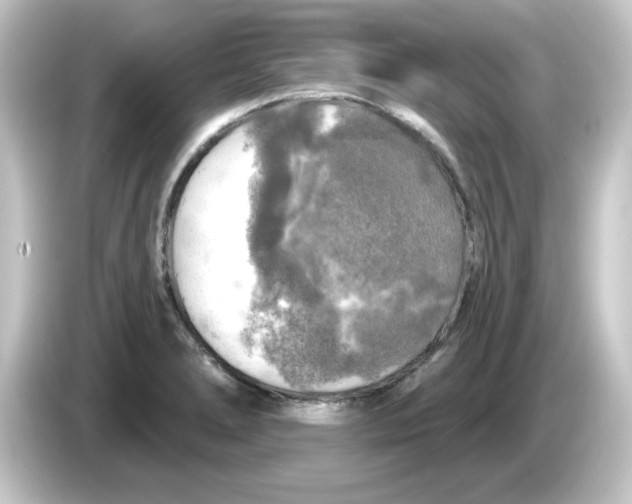 X0000084561278200703161658