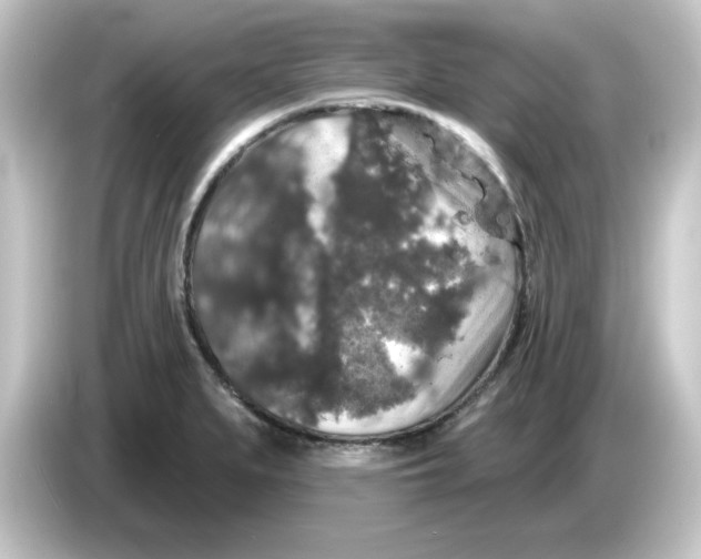 X0000084561279200703161658