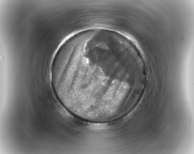 X0000084561280200703161658