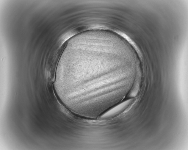 X0000084561281200703161658