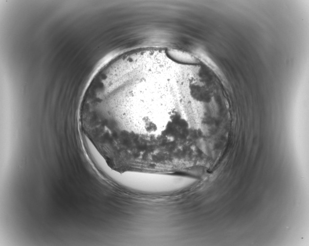 X0000084561283200703161658