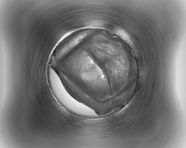 X0000084561284200703161658