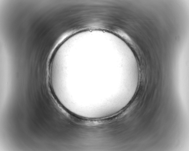 X0000084561286200703161658