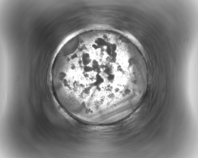 X0000084561287200703161658