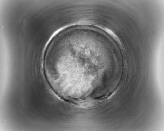 X0000084561288200703161658