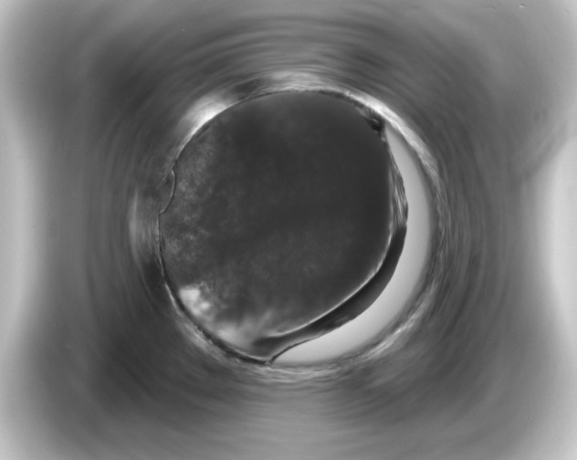 X0000084561289200703161657