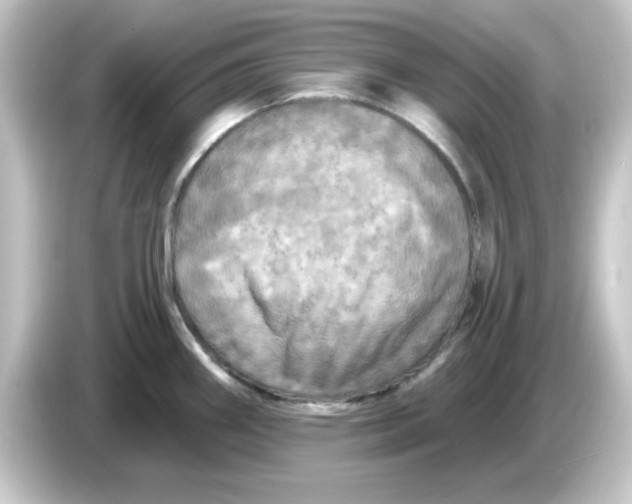 X0000084561290200703161657