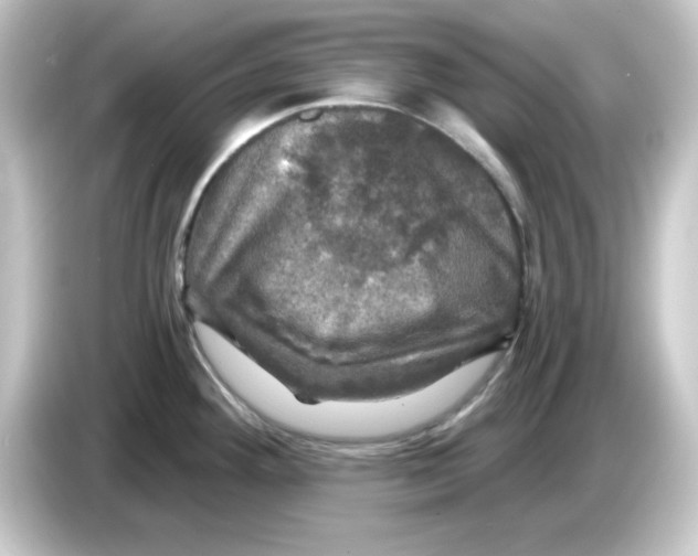 X0000084561292200703161657