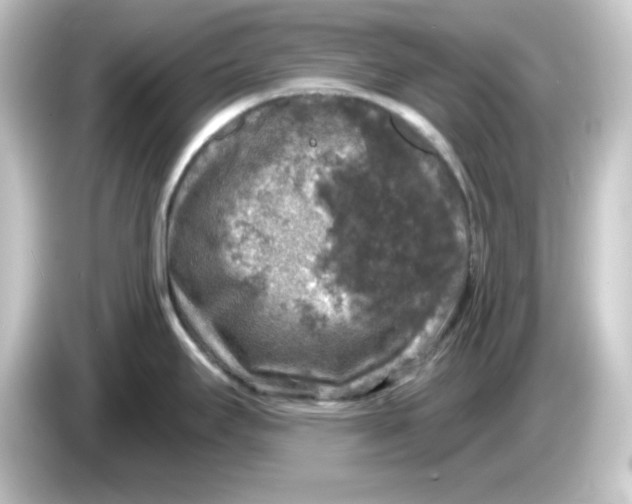 X0000084561295200703161657