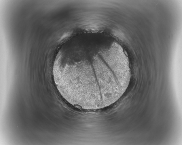 X0000084561297200703161657