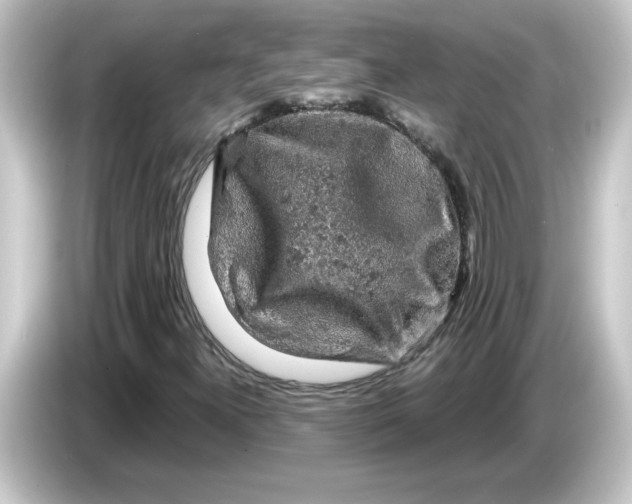 X0000084561300200703161657