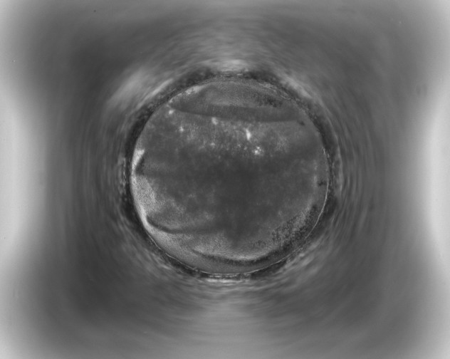 X0000084561301200703161657