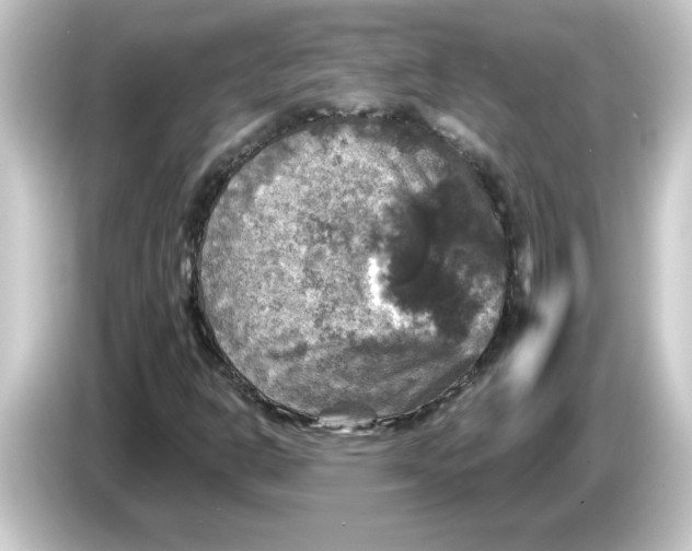 X0000084561302200703161657