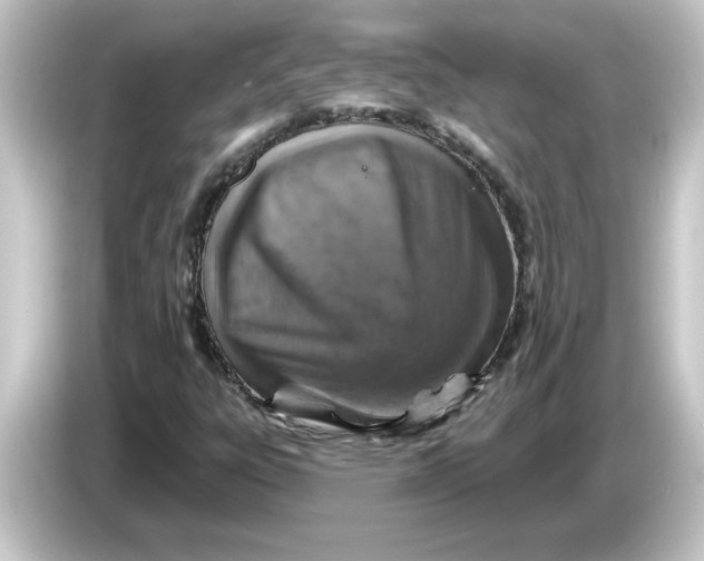 X0000084561303200703161657