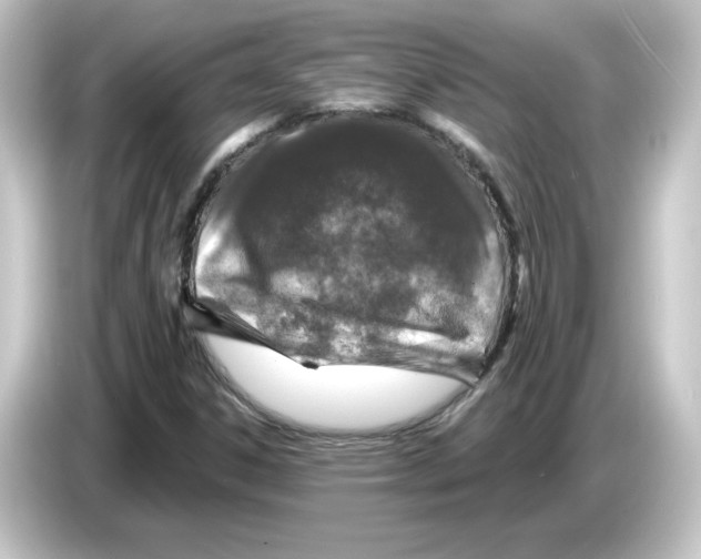 X0000084561306200703161657