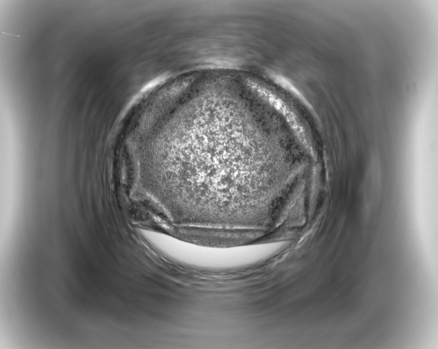 X0000084561307200703161657