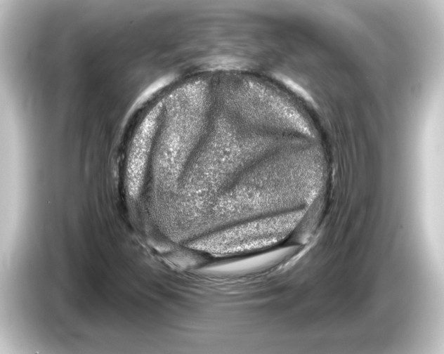 X0000084561309200703161657