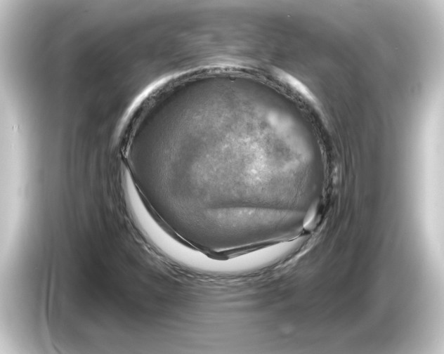 X0000084561310200703161657