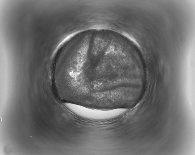 X0000084561311200703161657