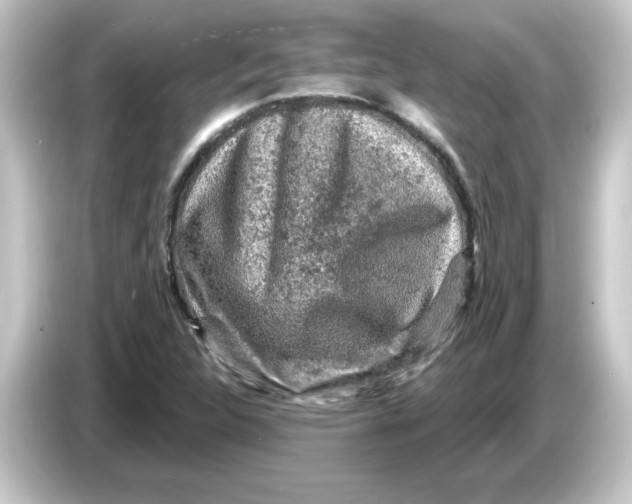 X0000084561312200703161657