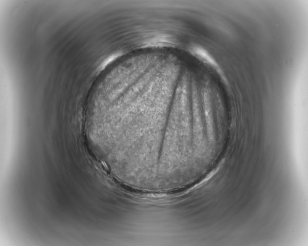 X0000084561313200703161657