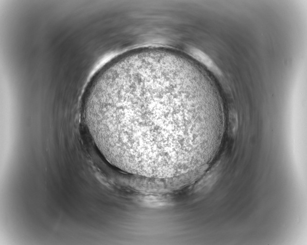 X0000084561316200703161657