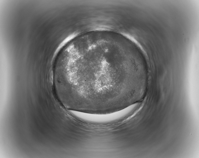 X0000084561317200703161657