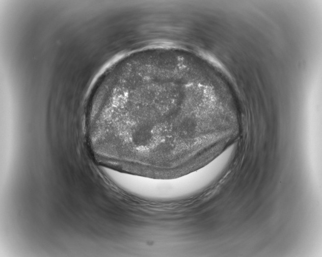 X0000084561318200703161657