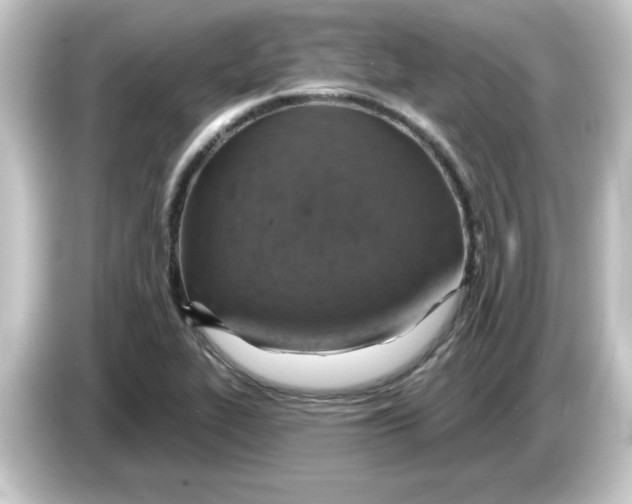 X0000084561319200703161657