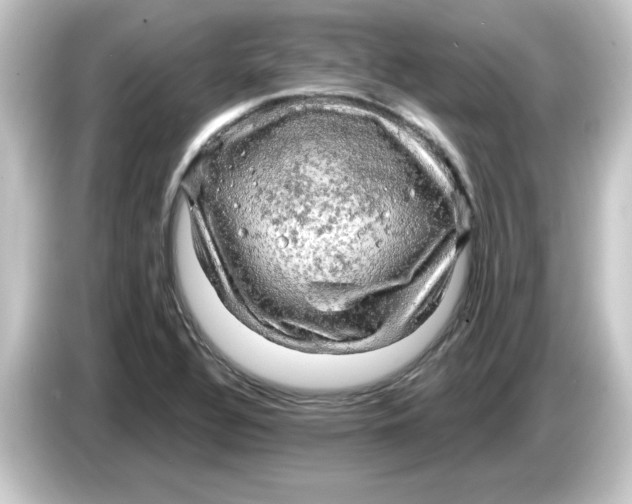 X0000084561320200703161657