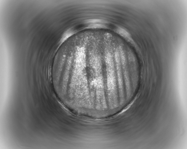 X0000084561321200703161657