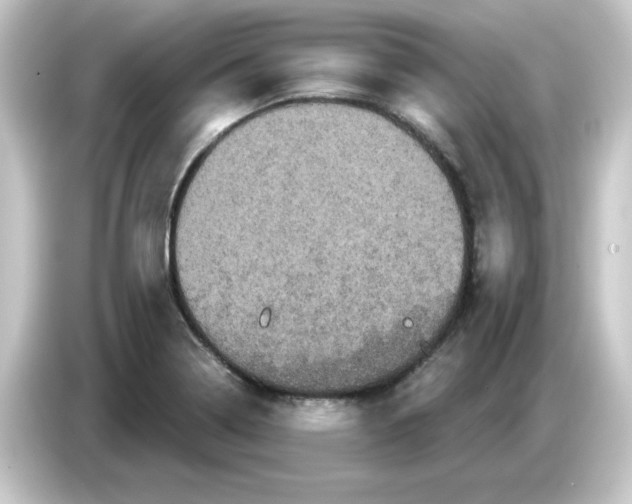 X0000084561322200703161657