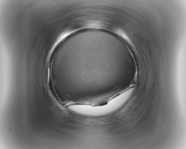 X0000084561323200703161657