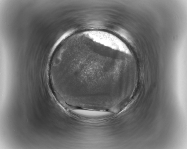 X0000084561325200703161657