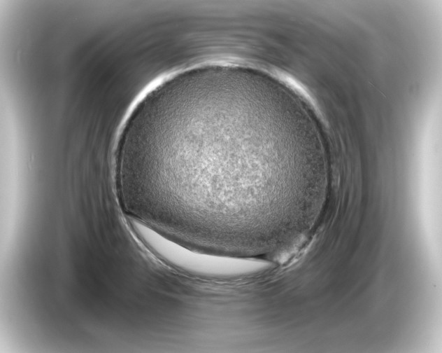 X0000084561326200703161657