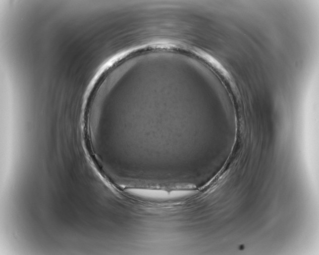 X0000084561327200703161657