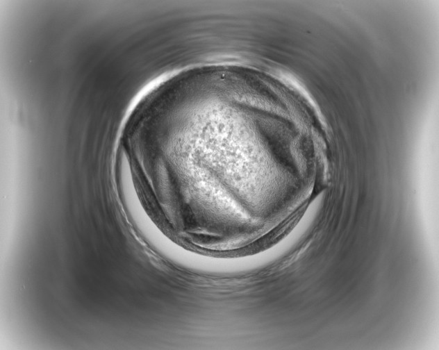 X0000084561328200703161657