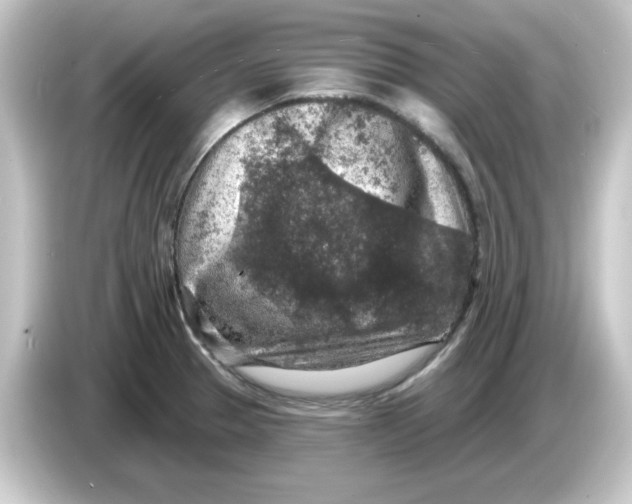 X0000084561329200703161657