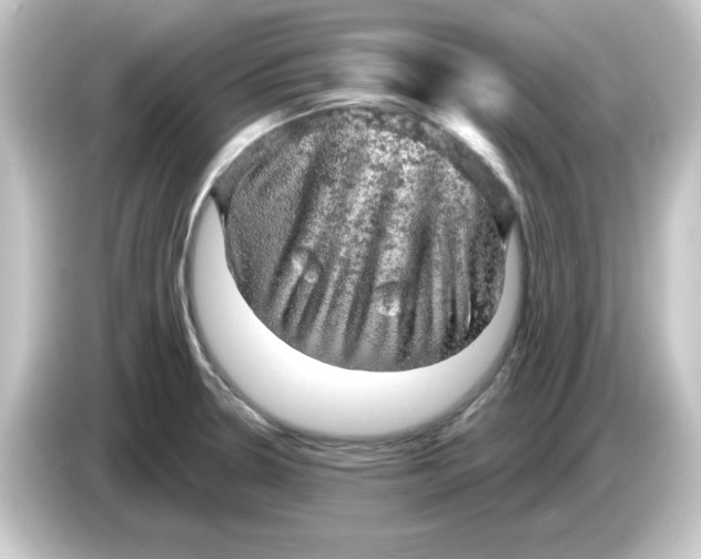 X0000084561330200703161657