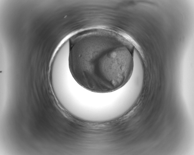 X0000084561332200703161657